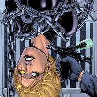 ROBYN HOOD THE HUNT #1 CVR B RIVEIRO
