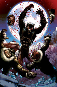 VAN HELSING VS THE WEREWOLF #4 CVR D METCALF