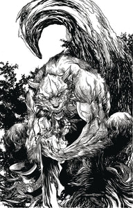 VAN HELSING VS THE WEREWOLF #6 CVR D TOLIBAO