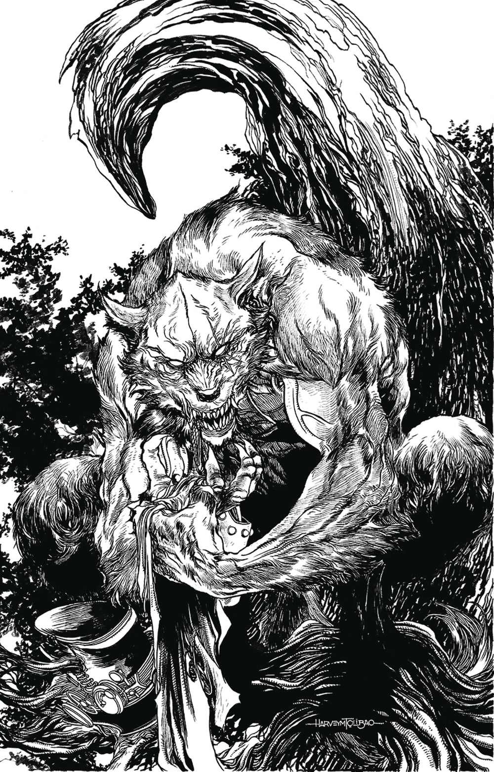VAN HELSING VS THE WEREWOLF #6 CVR D TOLIBAO