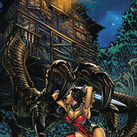 GRIMM FAIRY TALES #20 CVR D TOLIBAO