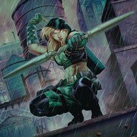 ROBYN HOOD VIGILANTE #1 CVR A COCCOLO