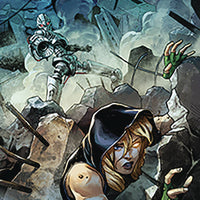 ROBYN HOOD VIGILANTE #2 CVR D COCCOLO