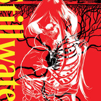 STILLWATER BY ZDARSKY & PEREZ TP VOL 01 (MR)