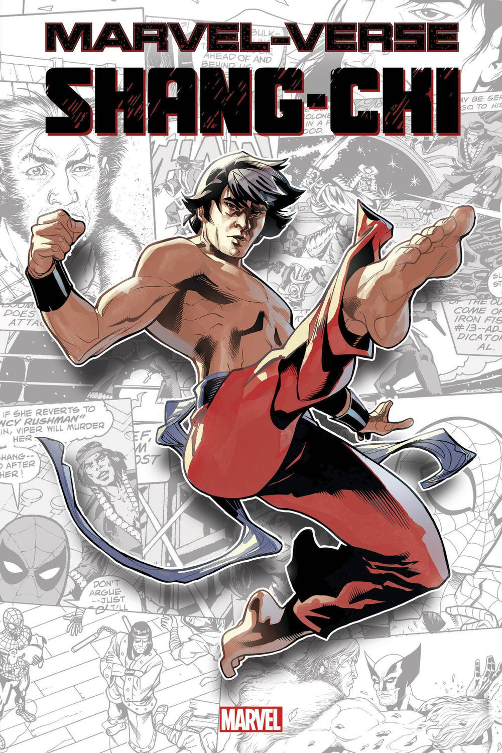 MARVEL-VERSE GN TP SHANG-CHI