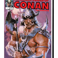 SAVAGE SWORD OF CONAN MARVEL YEARS OMNIBUS HC VOL 08 SIENKIE