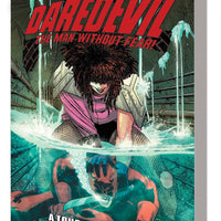 DAREDEVIL EPIC COLLECTION TP A TOUCH OF TYPHOID