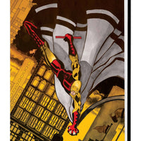 JEPH LOEB AND TIM SALE DAREDEVIL GALLERY EDITION HC DM CVR