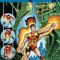 DC UNIVERSE BY STEVE DITKO OMNIBUS HC