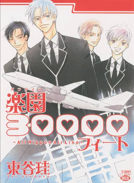ALL NIPPON AIRLINE PARADISE 3000 FEET GN