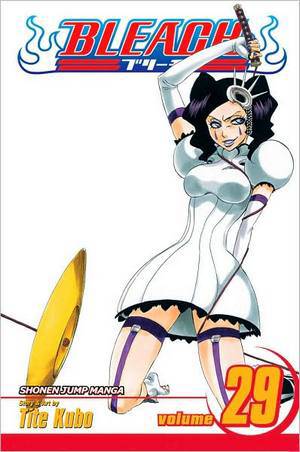 BLEACH GN VOL 29 (C: 1-0-1)