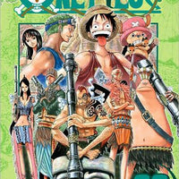 ONE PIECE GN VOL 28 (C: 1-0-1)