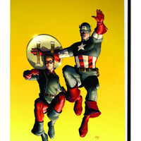 MARVELS PROJECT HC BIRTH OF SUPER HEROES