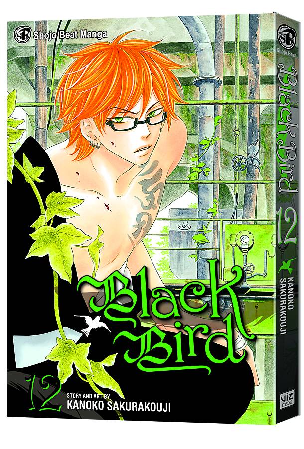 BLACK BIRD GN VOL 12 (C: 1-0-0)