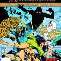 DUNGEONS & DRAGONS FORGOTTEN REALMS CLASSICS TP VOL 04