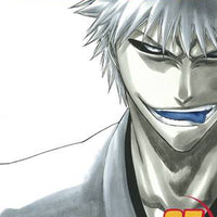 BLEACH GN VOL 25 (CURR PTG) (C: 1-0-0)