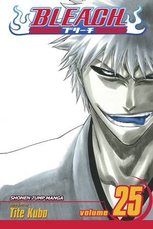 BLEACH GN VOL 25 (CURR PTG) (C: 1-0-0)