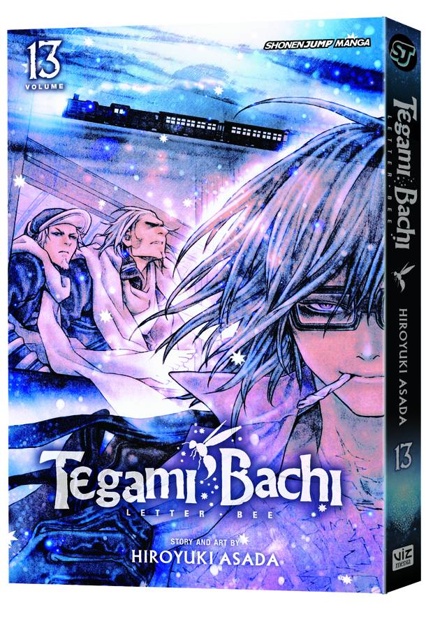 TEGAMI BACHI GN VOL 13 (C: 1-0-1)