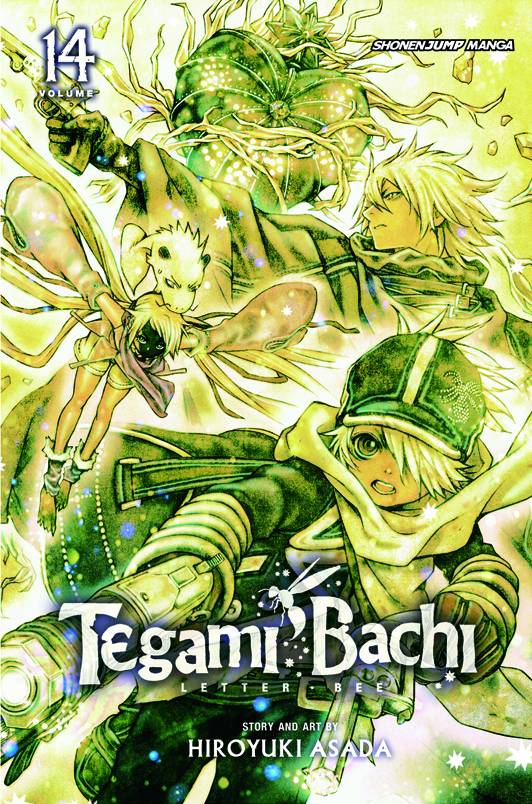 TEGAMI BACHI GN VOL 14 (C: 1-0-1)