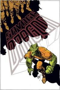 SAVAGE DRAGON THE END TP