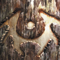 TRIBES DOG YEARS SPECIAL ED HC