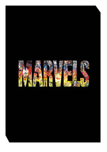 MARVELS PLATINUM EDITION SLIPCASE HC