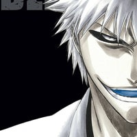 BLEACH 3IN1 TP VOL 09 (C: 1-0-1)