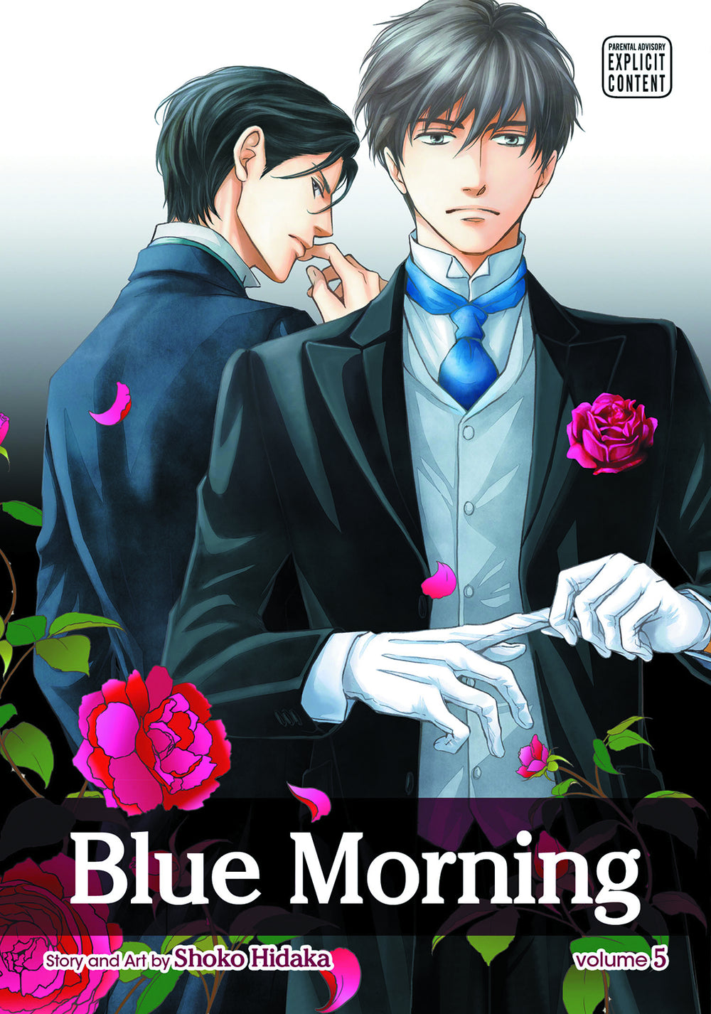 BLUE MORNING GN VOL 05 (MR) (C: 1-0-1)