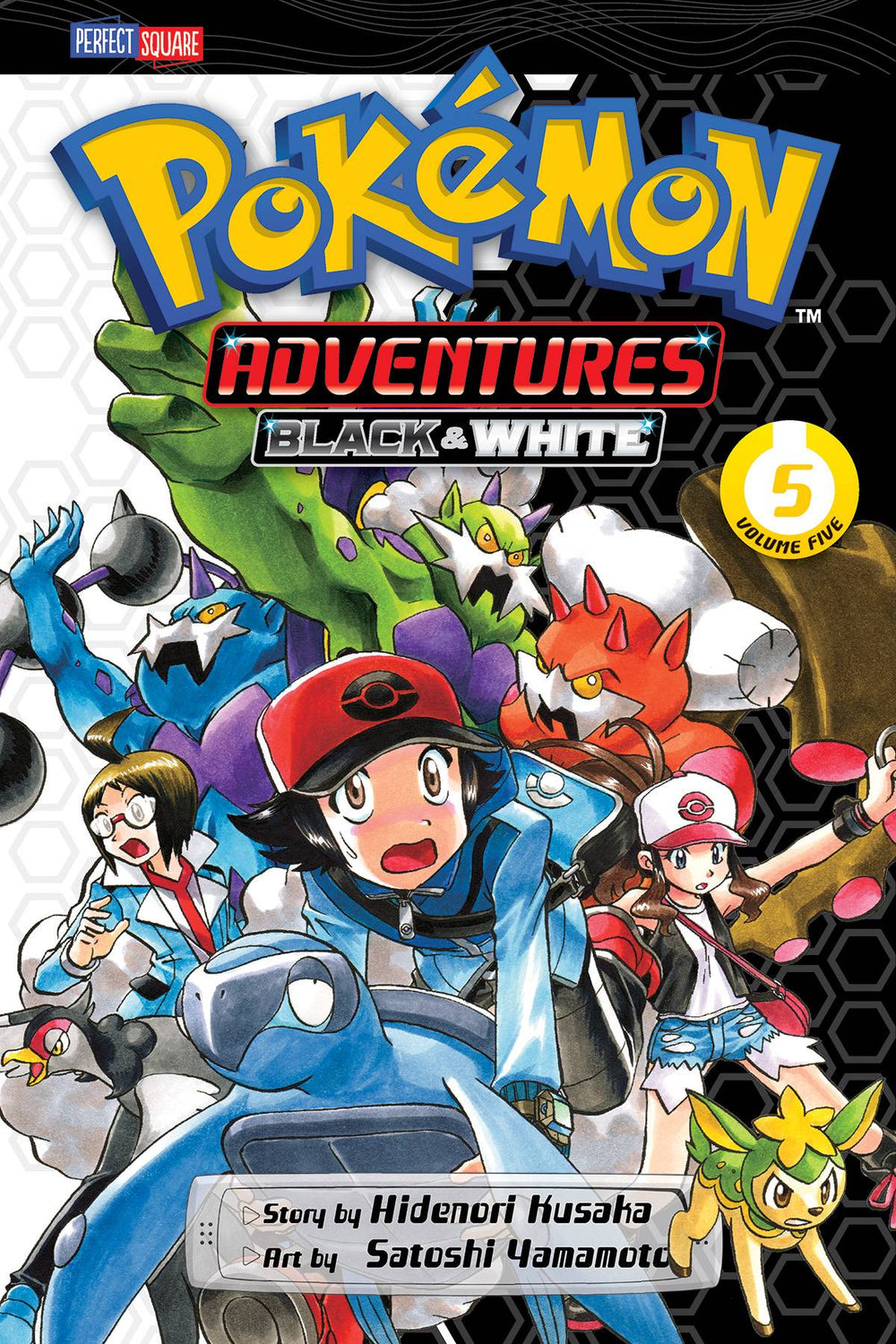 POKEMON ADV BLACK & WHITE GN VOL 05 (C: 1-0-0)