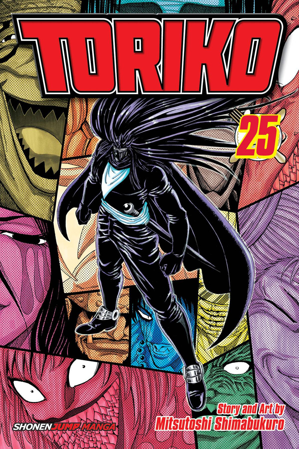 TORIKO GN VOL 25 (C: 1-0-1)