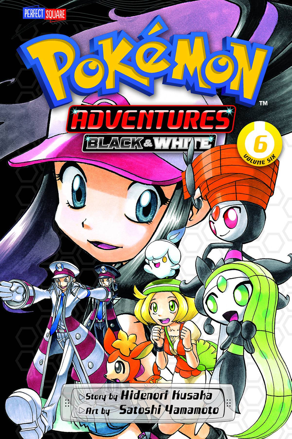 POKEMON ADV BLACK & WHITE GN VOL 06 (C: 1-0-0)