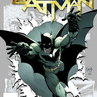 BATMAN HC VOL 06 GRAVEYARD SHFT (N52)