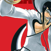 BLEACH 3IN1 TP VOL 11 (C: 1-0-1)