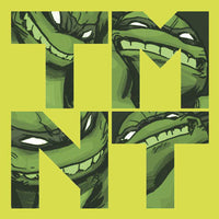 TMNT TP BOX SET VOL 01