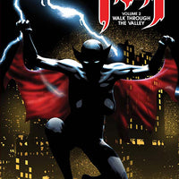 MISS FURY TP VOL 02 WALK THROUGH THE VALLEY (C: 0-1-2)
