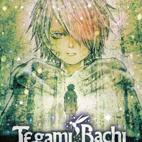 TEGAMI BACHI GN VOL 19 (C: 1-0-1)