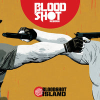 BLOODSHOT REBORN #14 CVR C KANO (NEW ARC)