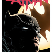 BATMAN TP VOL 01 I AM GOTHAM (REBIRTH)