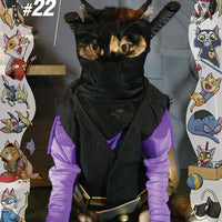 NINJAK #22 CVR C CAT COSPLAY
