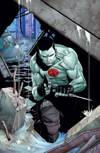 BLOODSHOT USA #4 (OF 4) CVR B HENRY