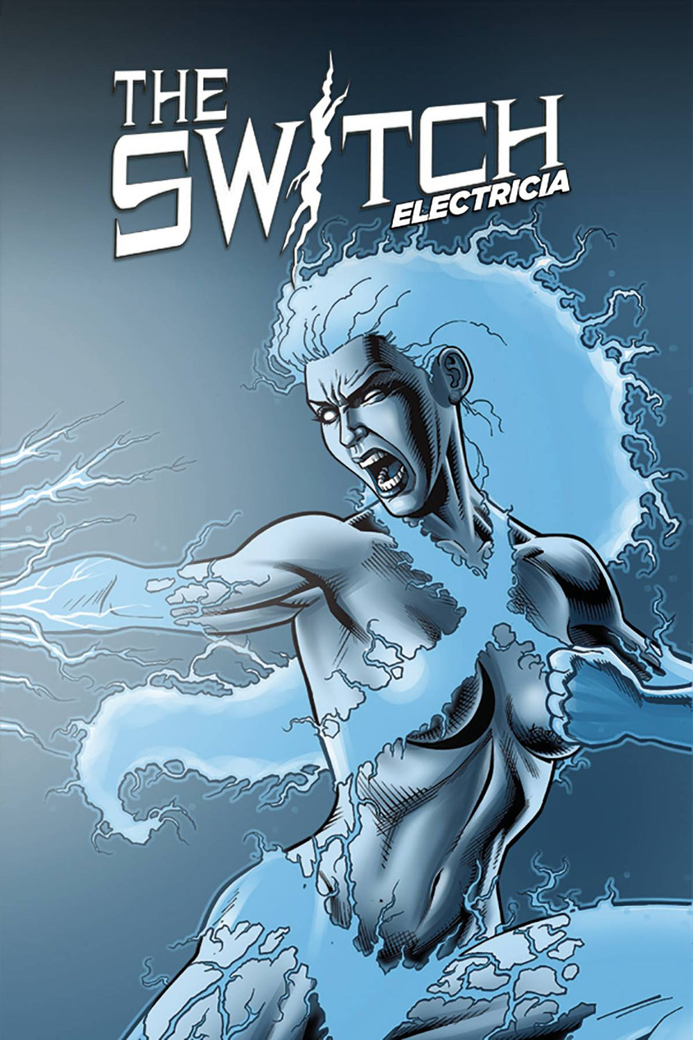 SWITCH ELECTRICIA HC (C: 0-1-2)