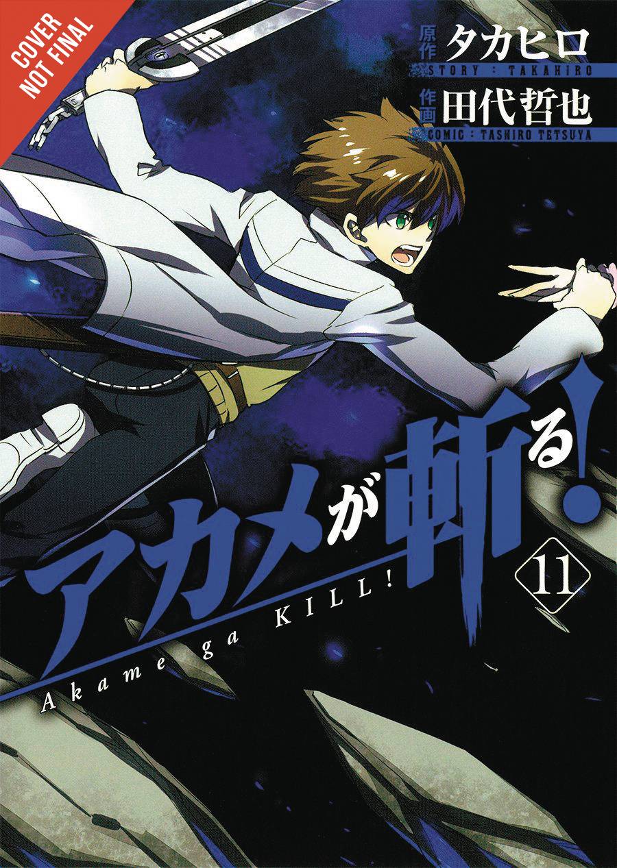 AKAME GA KILL GN VOL 11 (C: 1-1-0)