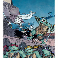TMNT USAGI YOJIMBO HC ED