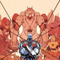 ROM VS TRANSFORMERS SHINING ARMOR #2 CVR B ROCHE