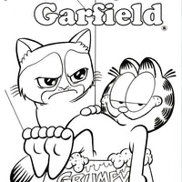 GRUMPY CAT GARFIELD #1 (OF 3) CVR E COLORING BOOK