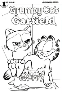 GRUMPY CAT GARFIELD #1 (OF 3) CVR E COLORING BOOK