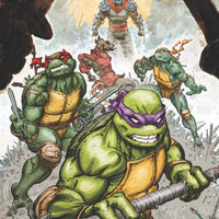 TEENAGE MUTANT NINJA TURTLES TP VOL 02 DARKNESS WITHIN