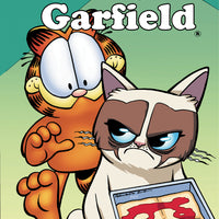 GRUMPY CAT GARFIELD #2 (OF 3) CVR C RUIZ