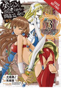 IS WRONG PICK UP GIRLS DUNGEON SWORD ORATORIA GN VOL 03 (C: