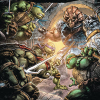 TMNT UNIVERSE TP VOL 04 HOME